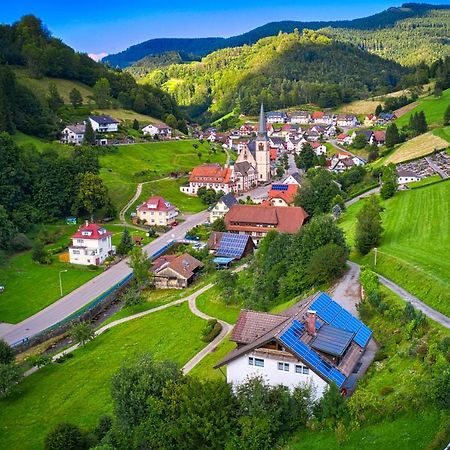 Steepleview House, Schwarzwaldblick Apartment - Spacious & Peaceful Bad Peterstal-Griesbach Bagian luar foto
